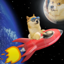 Doge To Mars