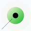 Green Zone - Balance Wellness 1.0.3
