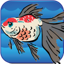 Kai Wen's Gold Fish 1.1