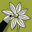 Learn how to draw flowers