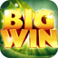 Big winner-zoon 1.0