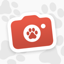 Locket Pets 1.1.0