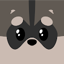 Kiwii Pocket: Pet Racoon 1.0.8