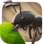 Idle Ant War 7.2