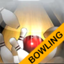 3D Bowling Crazy Bowling Games 2.1