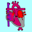 Single Ventricle Circulation 1.0