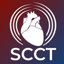 SCCT 2.3.1