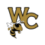 Wayne County GA Schools
