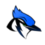 Pleasanton Schools Blu-Jays 3.40.0