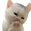 WASticker - Memes Sticker