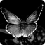 Black and White Screensaver 1.0