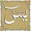 audio Yasin Mülk Amme Conquest 1.0.3