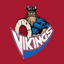 Viking Mobile