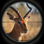 Animal Hunting Games Offline 0.9.1