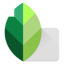 Caricature Studio Green 3.6