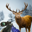 Deer Hunt: Deer Hunting Games 1.7