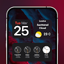 Themes: Style, Icons, Widgets