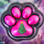 Taba Paws Unboxing 10