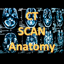 CT Scan Anatomy
