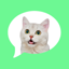 Message Stickers: cat emoticon