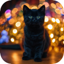 Black Cat Wallpapers 2.0