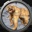 Marksman Hunting : COTW Sim 3D