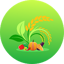 Vithai Buy & Sell Farm Produce 44.0