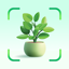 Plant ID: AI Plant Identifier