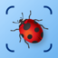 Bug Identifier: Insect ID (AI)