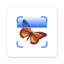 InsectAI - Bug Identifier