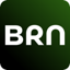 BRN: Budget & Debt Planner 1.5
