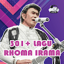 300+Lagu Raja Dangdut Offline 1.0.1