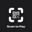 Scan to Pay · QR Code Payments 1.0