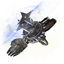 Shuriken 2007