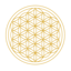 iGong - Yoga & Meditation