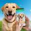 Dog Breed Identifier by Photo 11.0