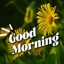 Good Morning Brithday GIFs 1.0.8