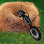 Ants Underground Kingdom Life