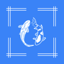 Fish Identifier by Photo: MAAI 1.0.1