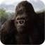 King Kong Wallpapers 1.0