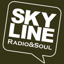 Skyline 3.2