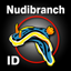 Nudibranch ID Indo Pacific 63.0