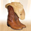 Country Line Dancing 1.4