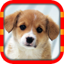PixSlide - Puzzle 1.2.2