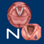 Vocal Pathology: Neurological 1.3.1