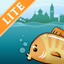 Venice tides lite