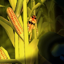 Cornbabies: The Game 0.2