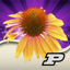 Purdue Perennial Doctor 1.5.6