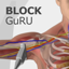 Block GuRU 6.0.1
