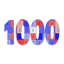 1000 Words 13.1